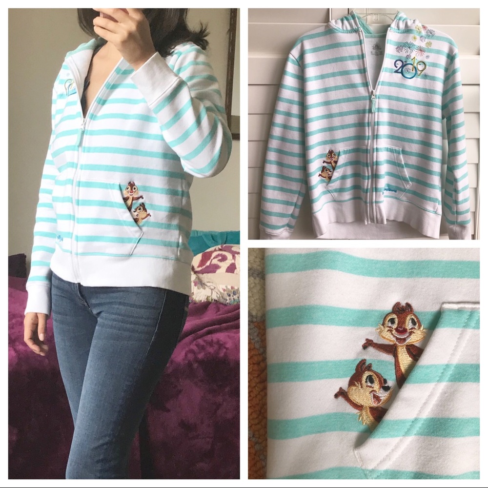 Disney Parks 2019 character zip up hoodie